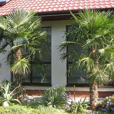 Pokoje Goscinne Pod Palmami Busko-Zdrój Buitenkant foto