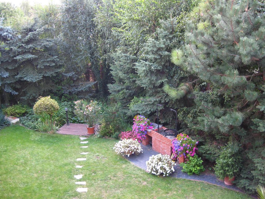 Pokoje Goscinne Pod Palmami Busko-Zdrój Buitenkant foto