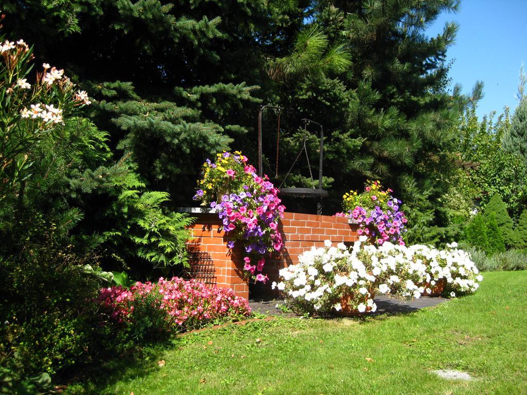 Pokoje Goscinne Pod Palmami Busko-Zdrój Buitenkant foto